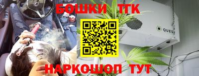 дживик Моздок