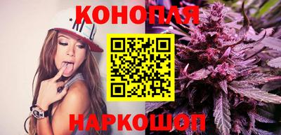 дживик Моздок