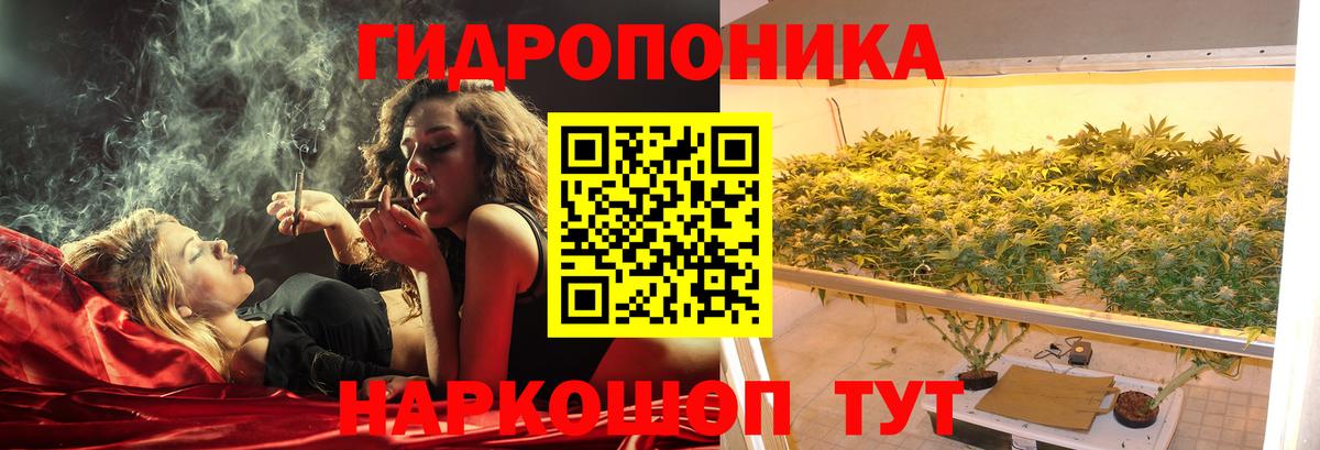 Каннабис индика  Канабис MAZAR  Вход с VPN  Видное 